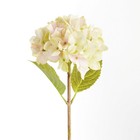 Hydrangea Stems 18   Set Of 6