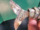 Vintage Articulated Fish Mexican Abalone Shell   Silver Fish Bottle Opener