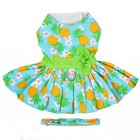 Doggie Design Pineapple Luau Dog Dress With D-ring Harness Matching Leash  Xs-xl