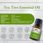Tea Tree Essential Oil 100   Pure Natural Premium Therapeutic Grade