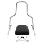 Chrome Sissy Bar Backrest Pad Fit For Harley Softail Fat Bob Fxfb 2018-2025 2021
