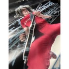 Ultra Rare Sammy Hagar Standing Hampton In Store Promo Poster 36  X 24 