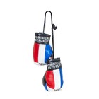 Mini Boxing Gloves - Country Flag - Hanging Punching Gloves - Dominican Republic