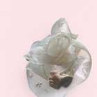 Feather Women Fascinator Hat Flower Hair Clip Wedding Party Headwear