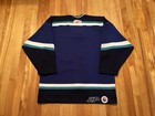 Worcester Icecats Authentic Blue Sp Hockey Jersey Ahl Floating Scratch Head Logo