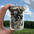 Assorted Fossil Jar- Random Natural Fossils  shells  Coral Scallops  Beach Decor