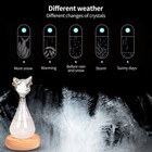 Storm Glass Weather Forecaster Bottle Cat Shape Weather Station Predictor Decor