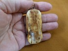  j-wal-2  White Brown Walrus   Eagle Pendant Necklace Water Buffalo Material