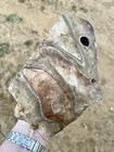 4 7 Lb Biggs Picture Jasper  Cut Lapidary Rough From Biggs  Oregon