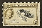 Travelstamps  1956 Ascension Islands Stamps Sg 65 Qeii 7d Young Turtles Mogh