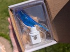Tmbg Blue Canary In The Outlet By The Lightswitch