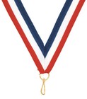 3 Pieces 1st  2nd 3rd Place Medal Award Trophy W free Lanyard  3 49 Each
