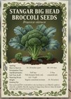 Stangar Bighead Broccoli Seeds Heirloom Vegetable Garden Non Gmo 100  Organic