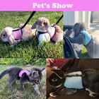 Rabbit Leash And Harness Set Escape Proof  Bunny Vest Hamster Leash Set Mesh Ees