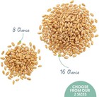 100  Organic Cat Grass Seeds - Cat Grass For Indoor Cats -  non Gmo  16 Oz