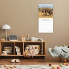 2025 Square Wall Calendar  Elephants  16-month Animals Theme 12x12 