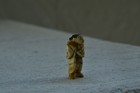 Antique Japanese Netsuke Old Man With Fan Hand-carved Signed Rare Collectible Jp