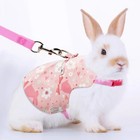 1pc Handmade Rabbit Harness   Leash Set     Adjustable For Rabbits  Guinea Pigs