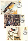1979 Australia Birds Maxi Cards Set Of 6