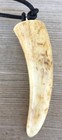 Deer Antler Tip Necklace