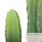 Artificial Cactus With White Planter 5ft Uv Resistant Indoor Outdoor Bellacat