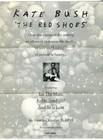 Vintage Kate Bush The Red Shoes Promo Pamphlet Poster 1993