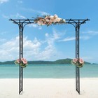 85 In  X 81 1 In  Grande Iron Arch For Various Climbing Plant Arbor