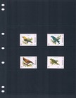  5 60 Scott Value - 1996 Middle East Birds Wildlife Mideastern Cv Mnh Nh Umm