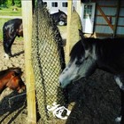 Hay Chix Two Strand Small Square Bale Slow Feed Hay Net