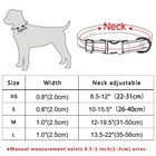 Nylon Dog Collar Personalized Free Engraved Name Pet Walking Adjustable Sx-l Dog