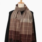 2024 Classic Stripe Plaid Tassel Long Scarfs For Unisex Mature Warm Windproo