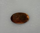 Extremely Rare Frontier Land Dn0006 Prototype Elongated Penny