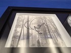 Taylor Swift Signed And Framed Folklore Cd 