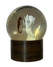 Vintage Nature Gems Seahorse   Coral Glass Globe Paperweight