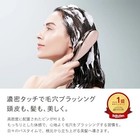 New Refa Ion Care Brush Premium New Color Luxury Hairbrush With Shopper Bag