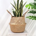 Woven Seagrass Belly Basket For Storage Plant Pot Indoordecorative Sturdy And Du