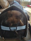 Pet Carrier Soft-sided Carriers For Cat Carriers Dog Carrier Small Medium Blue
