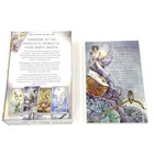 Shadowscapes Tarot Deck companion Guidebook Set Stephanie Pui-mun barbara Moore