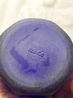 Rare Antique Doan Cobalt Blue Embossed Bottle