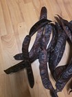 20 Count Large Natural Dried Honey Locust Seed Pods Botanical Foraged Decor 