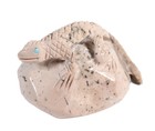 Zuni Pueblo Lizard Fetish By Nelson Yatsattie   Late 20th Century   Size 1 25  H