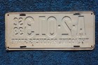 1933 South Carolina Iodine State License Plate