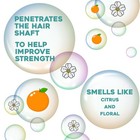 Moroccan Argan Oil Curl-defining Cream For Smooth  Frizz-free Curls  6 Oz