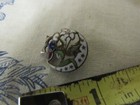 Vtg   Daughters Of Rebekah  odd Fellows  Enameled Pin