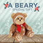 10  Teddy Bear Gingerbeary Gingerbread Man Suit Plush Stuffed Animal