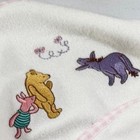 Vtg Disney Classic Winnie The Pooh Terry Hooded Babytowel Washcloth Set Gingham