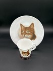 Corning Correlle Matching Dish And Mug Golden Tabby Cat Set