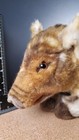 Steiff Plush Vintage Boar   Good Used Condition With Button   No Yellow Tag