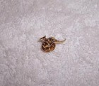 Kangaroo Pin Australia 