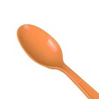 Karat Pp Plastic Extra Heavy Weight Tea Spoons - Orange - 1000 Ct u2033  orange 